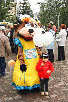    Дни алтайского сыра