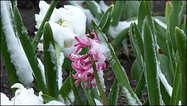 2 май 2017 г., Барнаул   Холодный май 2017 года. Фоторепортаж с заснеженных улиц Барнаула