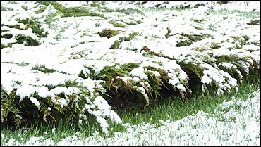 2 май 2017 г., Барнаул   Холодный май 2017 года. Фоторепортаж с заснеженных улиц Барнаула