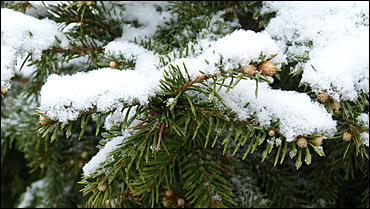 2 май 2017 г., Барнаул   Холодный май 2017 года. Фоторепортаж с заснеженных улиц Барнаула