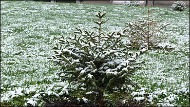 2 май 2017 г., Барнаул   Холодный май 2017 года. Фоторепортаж с заснеженных улиц Барнаула