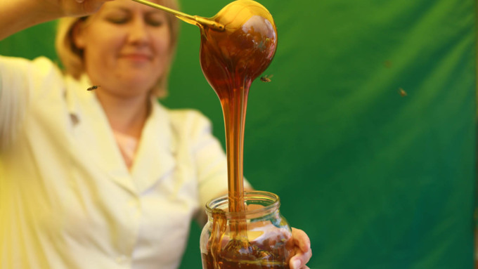 14 августа 2017 г., Барнаул. Екатерина Смолихина   Мёд да песня: фестиваль "Медовый Спас на Алтае" открылся в Барнауле