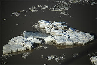 9 апреля 2019 г., Барнаул. Екатерина Смолихина   Льдин "парад": фоторепортаж с ледохода в Барнауле