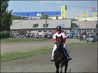 16 августа 2015г., Барнаул   Конноспортивные соревнования на Кубок губернатора края