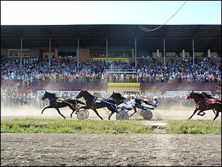 16 августа 2015г., Барнаул   Конноспортивные соревнования на Кубок губернатора края