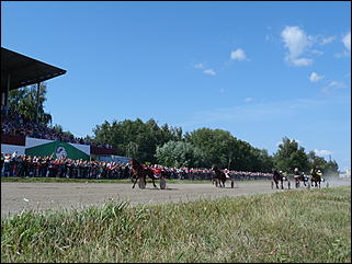 16 августа 2015г., Барнаул   Конноспортивные соревнования на Кубок губернатора края
