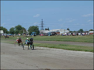 16 августа 2015г., Барнаул   Конноспортивные соревнования на Кубок губернатора края