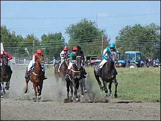 16 августа 2015г., Барнаул   Конноспортивные соревнования на Кубок губернатора края