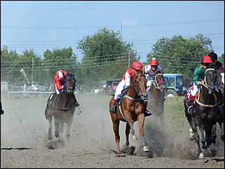 16 августа 2015г., Барнаул   Конноспортивные соревнования на Кубок губернатора края