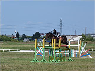 16 августа 2015г., Барнаул   Конноспортивные соревнования на Кубок губернатора края