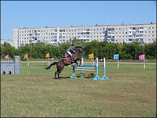 16 августа 2015г., Барнаул   Конноспортивные соревнования на Кубок губернатора края