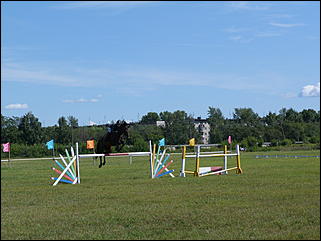 16 августа 2015г., Барнаул   Конноспортивные соревнования на Кубок губернатора края