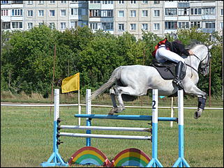 16 августа 2015г., Барнаул   Конноспортивные соревнования на Кубок губернатора края