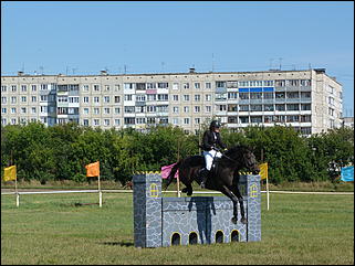 16 августа 2015г., Барнаул   Конноспортивные соревнования на Кубок губернатора края