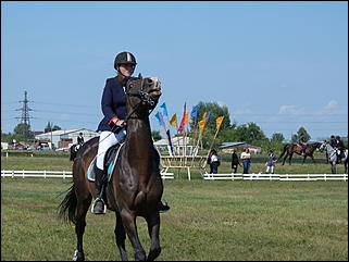 16 августа 2015г., Барнаул   Конноспортивные соревнования на Кубок губернатора края