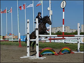 16 августа 2015г., Барнаул   Конноспортивные соревнования на Кубок губернатора края