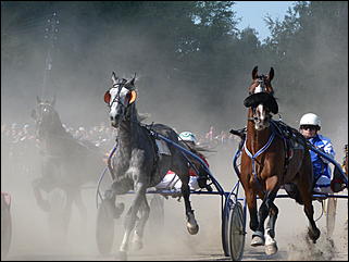 16 августа 2015г., Барнаул   Конноспортивные соревнования на Кубок губернатора края