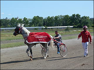 16 августа 2015г., Барнаул   Конноспортивные соревнования на Кубок губернатора края