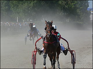 16 августа 2015г., Барнаул   Конноспортивные соревнования на Кубок губернатора края