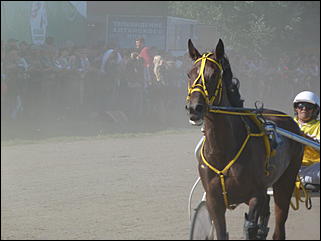 16 августа 2015г., Барнаул   Конноспортивные соревнования на Кубок губернатора края