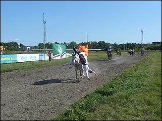 16 августа 2015г., Барнаул   Конноспортивные соревнования на Кубок губернатора края