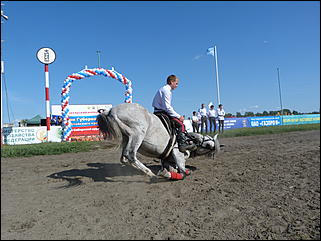 16 августа 2015г., Барнаул   Конноспортивные соревнования на Кубок губернатора края