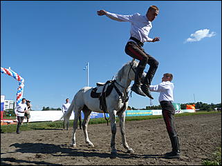 16 августа 2015г., Барнаул   Конноспортивные соревнования на Кубок губернатора края