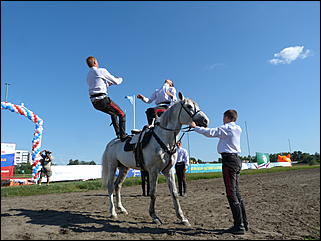 16 августа 2015г., Барнаул   Конноспортивные соревнования на Кубок губернатора края