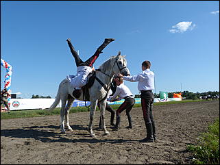 16 августа 2015г., Барнаул   Конноспортивные соревнования на Кубок губернатора края