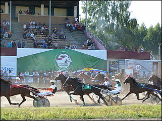 16 августа 2015г., Барнаул   Конноспортивные соревнования на Кубок губернатора края