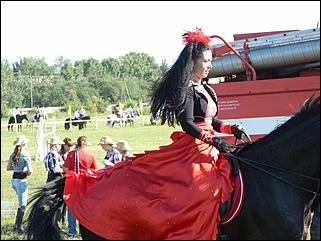 16 августа 2015г., Барнаул   Конноспортивные соревнования на Кубок губернатора края