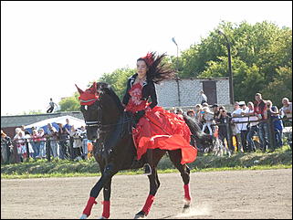16 августа 2015г., Барнаул   Конноспортивные соревнования на Кубок губернатора края