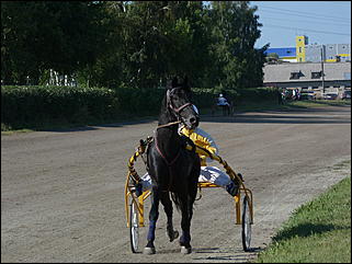 16 августа 2015г., Барнаул   Конноспортивные соревнования на Кубок губернатора края