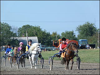16 августа 2015г., Барнаул   Конноспортивные соревнования на Кубок губернатора края