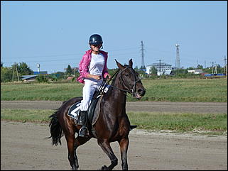16 августа 2015г., Барнаул   Конноспортивные соревнования на Кубок губернатора края