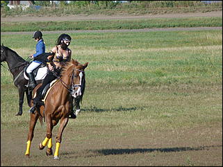 16 августа 2015г., Барнаул   Конноспортивные соревнования на Кубок губернатора края