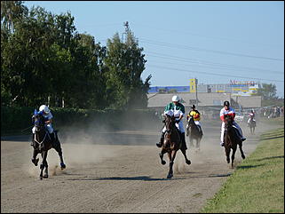16 августа 2015г., Барнаул   Конноспортивные соревнования на Кубок губернатора края