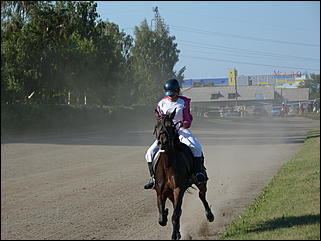 16 августа 2015г., Барнаул   Конноспортивные соревнования на Кубок губернатора края