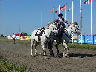 16 августа 2015г., Барнаул   Конноспортивные соревнования на Кубок губернатора края