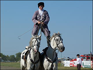 16 августа 2015г., Барнаул   Конноспортивные соревнования на Кубок губернатора края