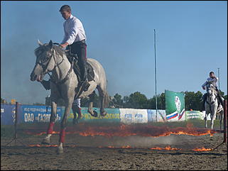 16 августа 2015г., Барнаул   Конноспортивные соревнования на Кубок губернатора края