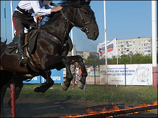 16 августа 2015г., Барнаул   Конноспортивные соревнования на Кубок губернатора края