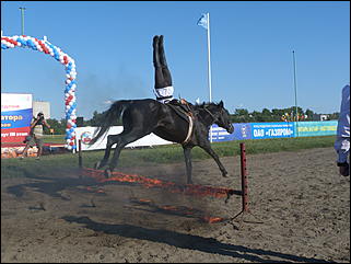 16 августа 2015г., Барнаул   Конноспортивные соревнования на Кубок губернатора края
