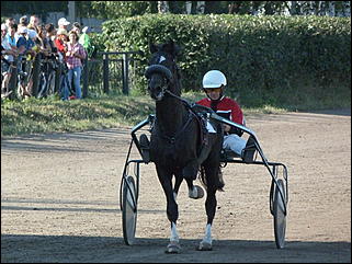 16 августа 2015г., Барнаул   Конноспортивные соревнования на Кубок губернатора края