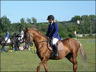 16 августа 2015г., Барнаул   Конноспортивные соревнования на Кубок губернатора края