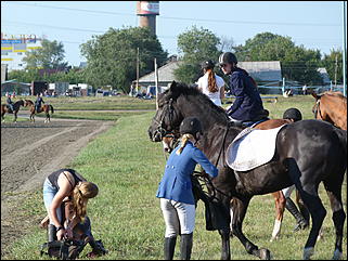 16 августа 2015г., Барнаул   Конноспортивные соревнования на Кубок губернатора края