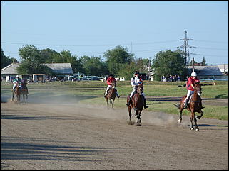 16 августа 2015г., Барнаул   Конноспортивные соревнования на Кубок губернатора края