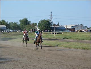 16 августа 2015г., Барнаул   Конноспортивные соревнования на Кубок губернатора края