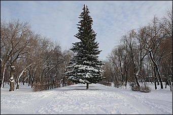 19 ноября 2019 г., Барнаул   Парк "Изумрудный" в ожидании перемен