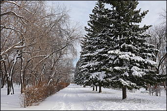 19 ноября 2019 г., Барнаул   Парк "Изумрудный" в ожидании перемен